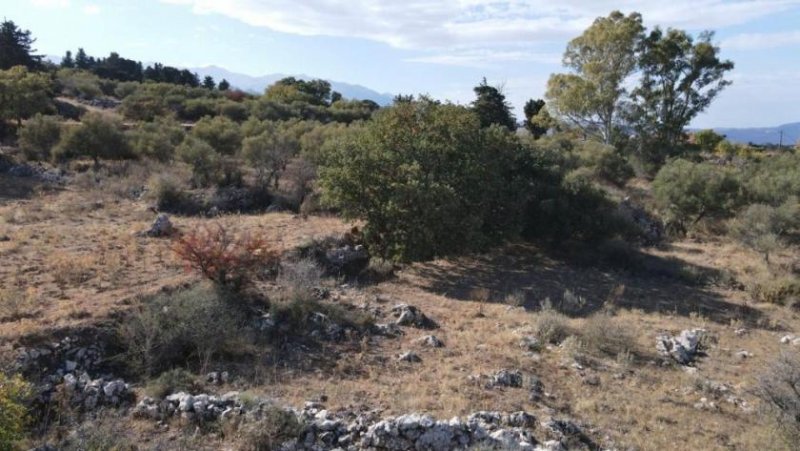 Sellia im Apokoronos Kreta, Sellia im Apokoronos: Grundstück zum Verkauf mit schöner Aussicht in Sellia Grundstück kaufen